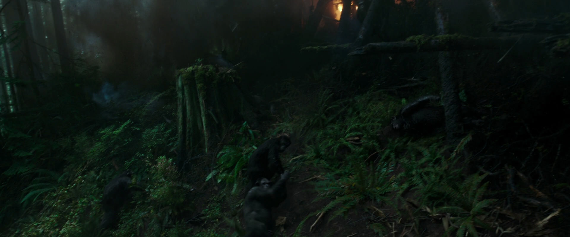War for the Planet of the Apes (2017) screencap 501
