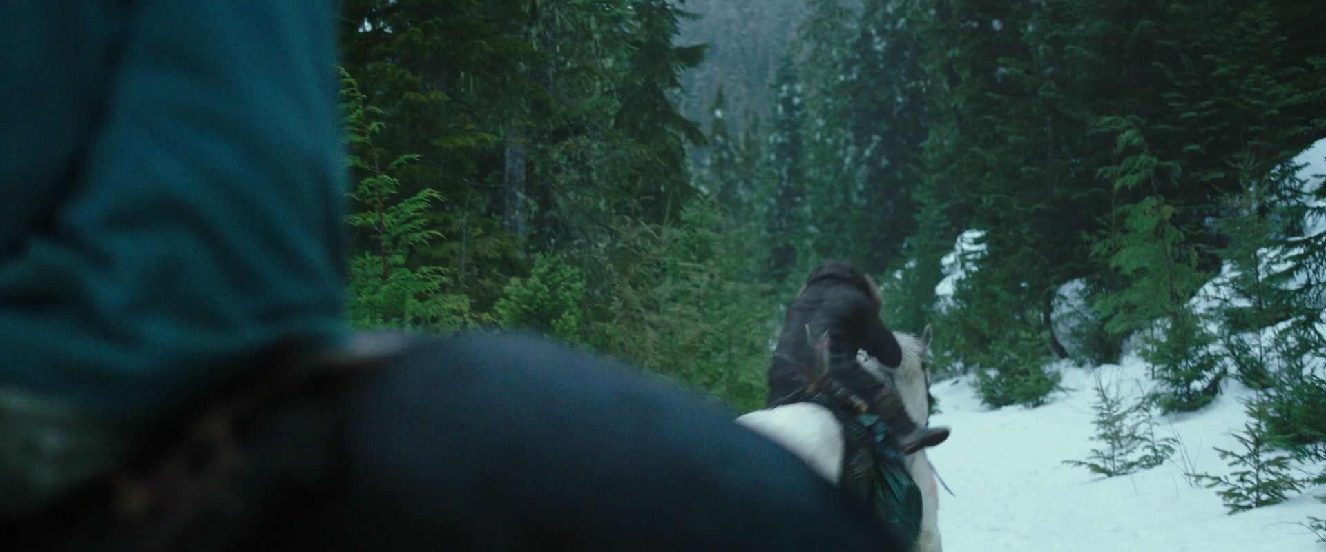 War for the Planet of the Apes (2017) screencap 5016