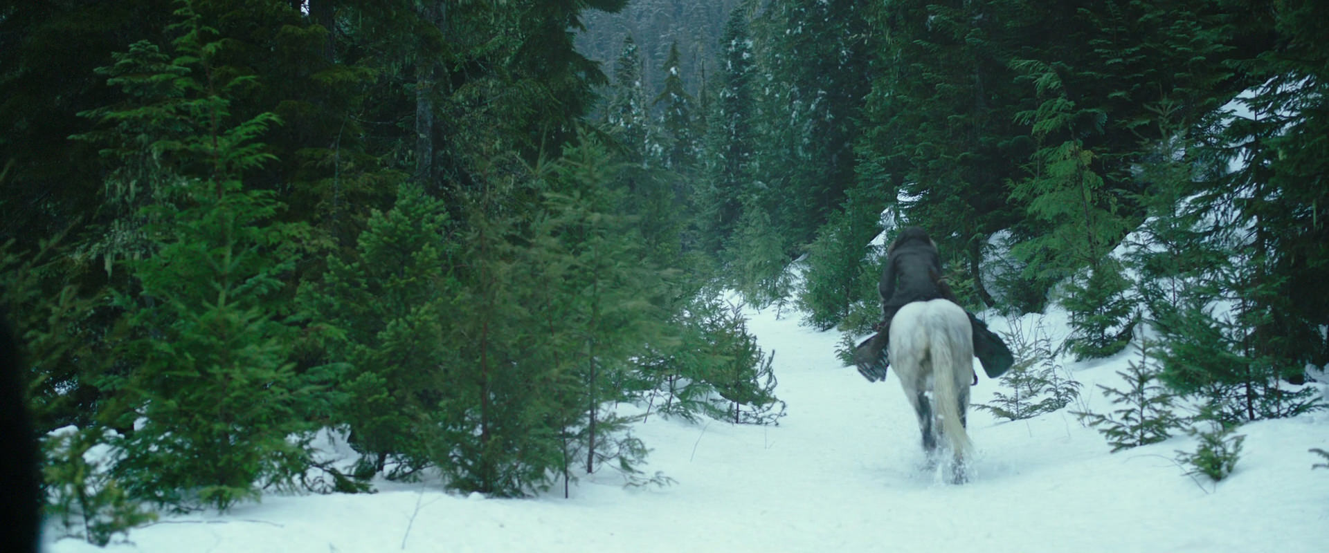 War for the Planet of the Apes (2017) screencap 5019