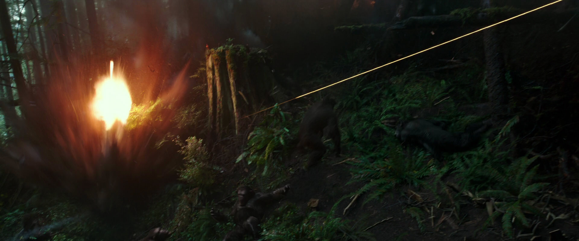 War for the Planet of the Apes (2017) movie still 502
