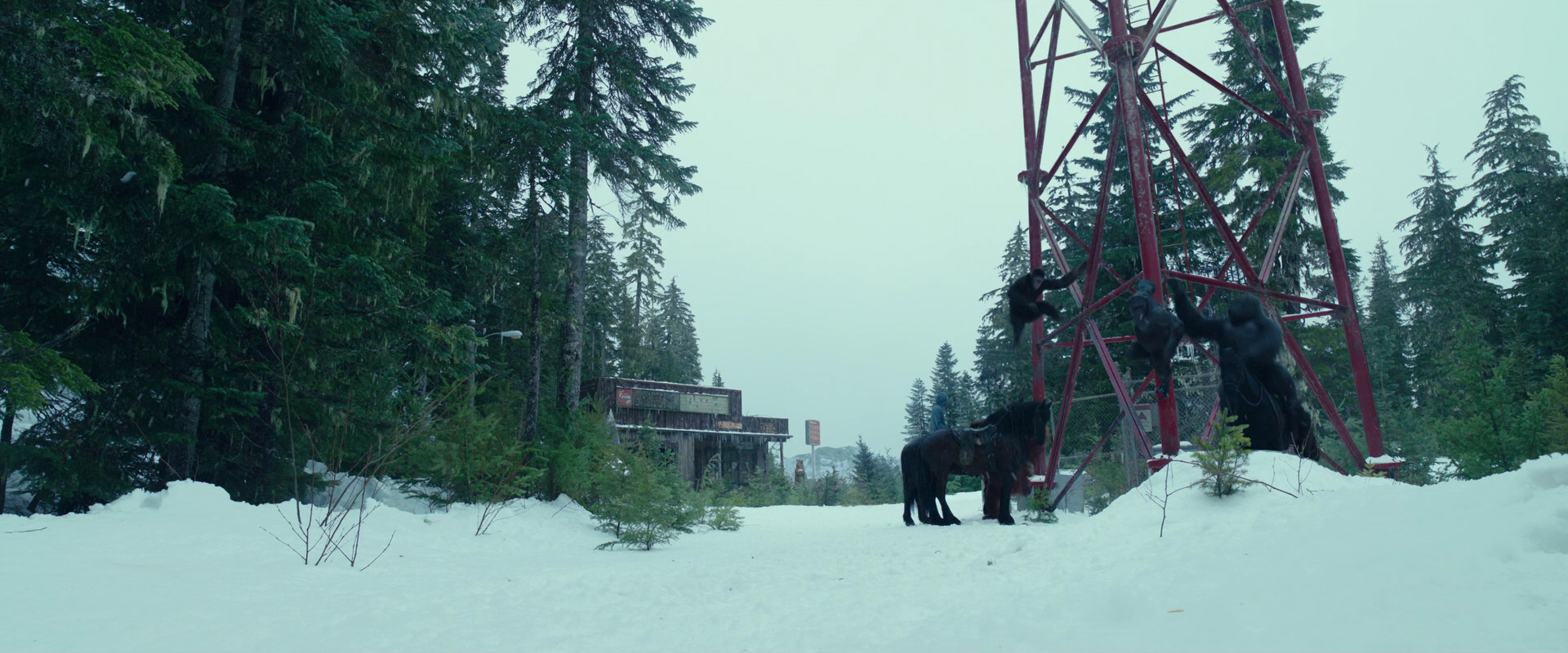 War for the Planet of the Apes (2017) movie still 5020