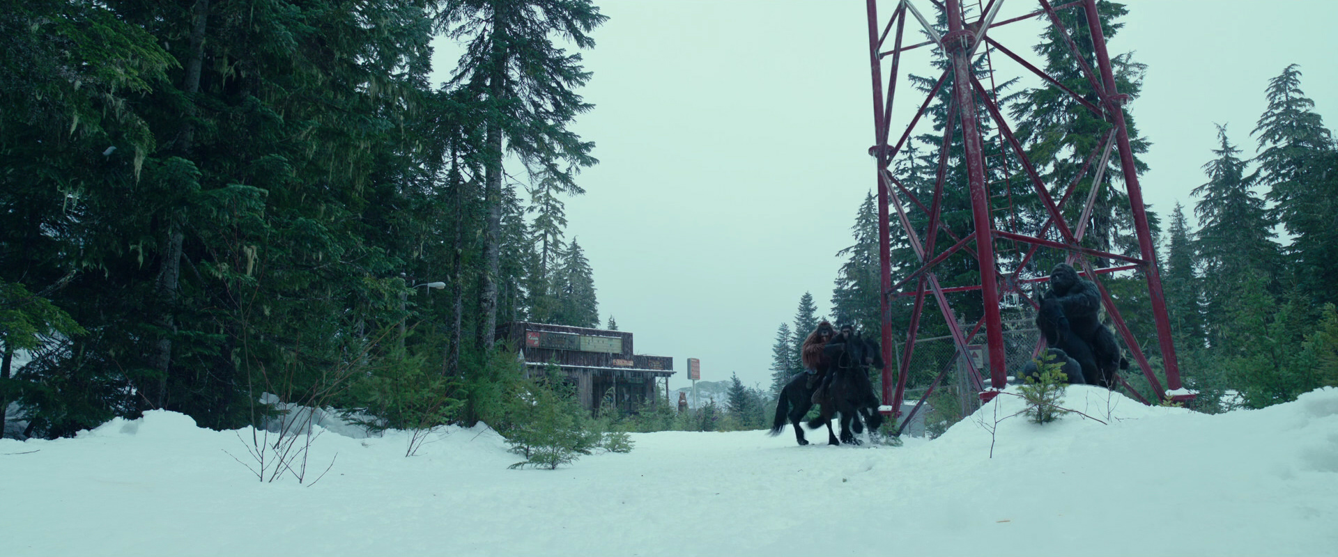 War for the Planet of the Apes (2017) movie still 5023