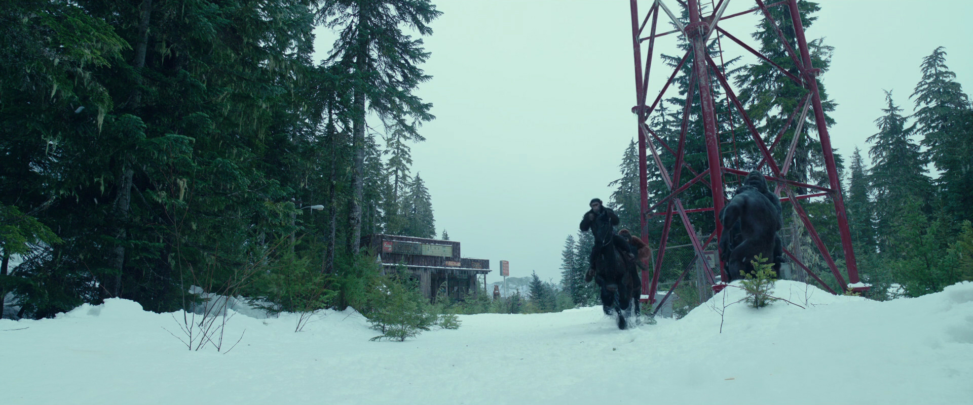 War for the Planet of the Apes (2017) screencap 5025