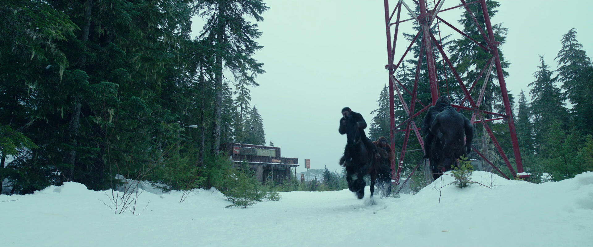 War for the Planet of the Apes (2017) movie still 5026