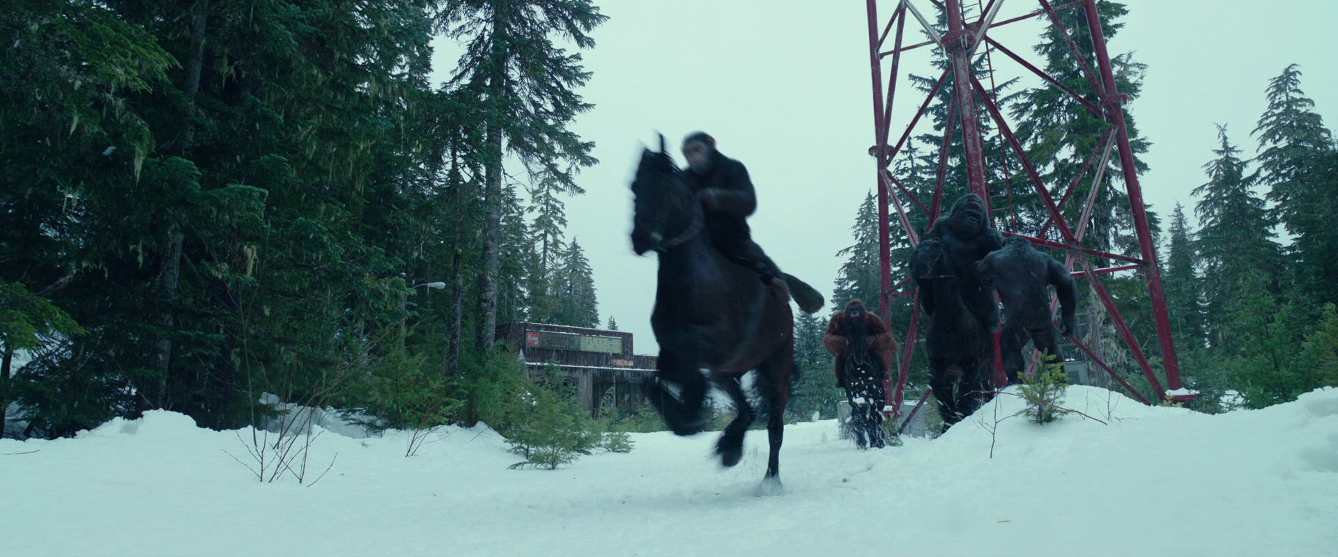 War for the Planet of the Apes (2017) HD screenshot 5027