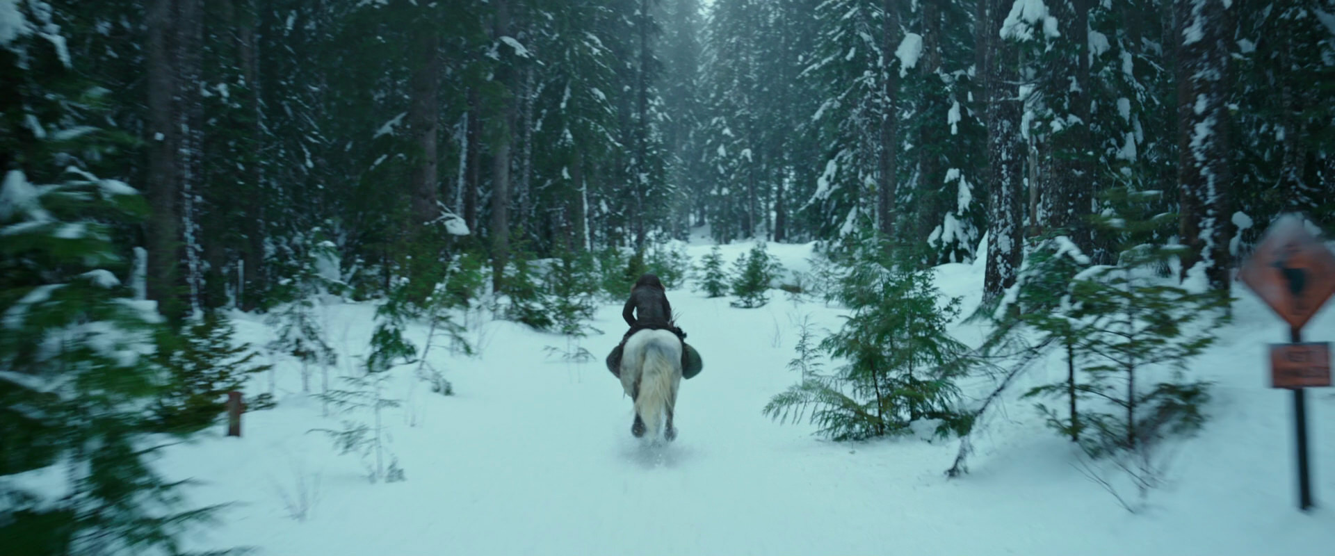 War for the Planet of the Apes (2017) screencap 5031