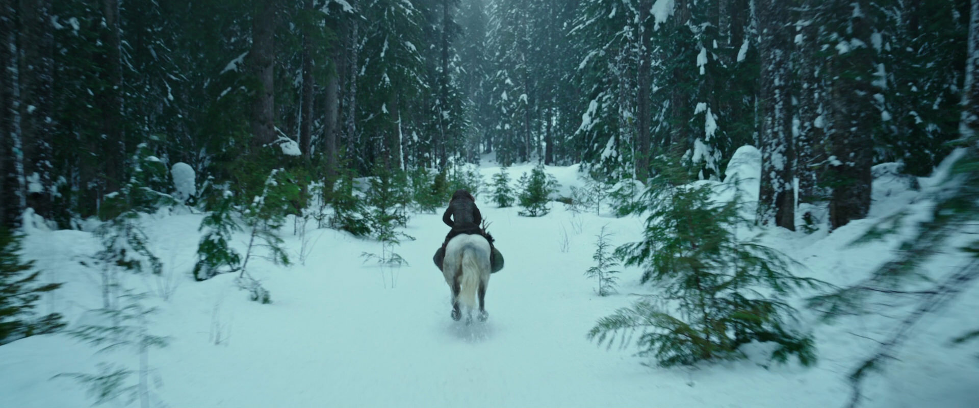 War for the Planet of the Apes (2017) movie still 5032