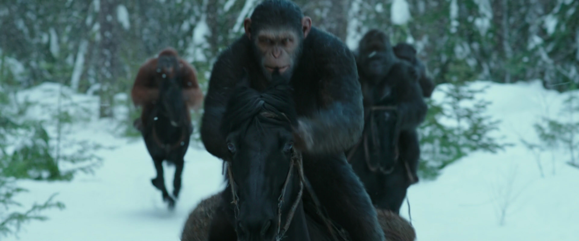 War for the Planet of the Apes (2017) screencap 5034
