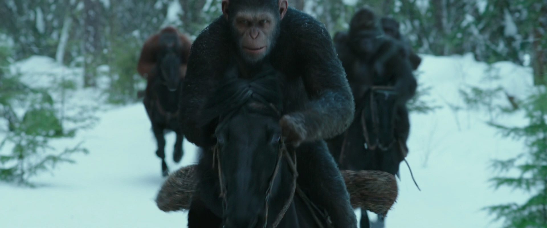 War for the Planet of the Apes (2017) movie still 5035