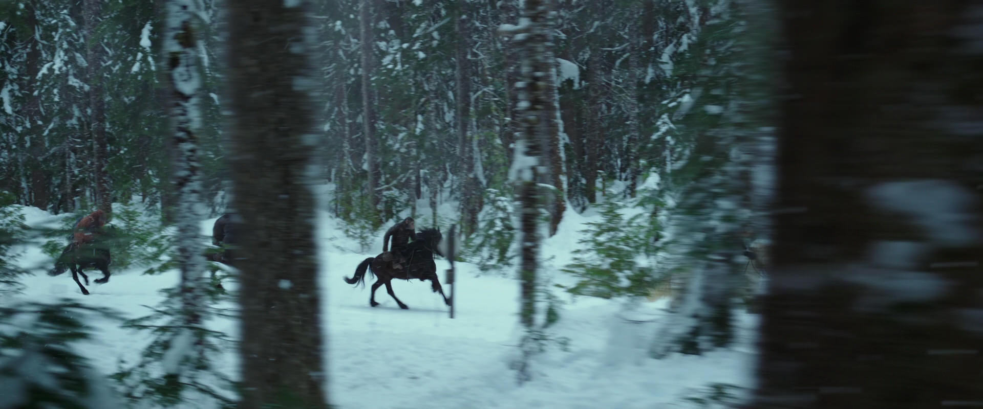 War for the Planet of the Apes (2017) screencap 5037