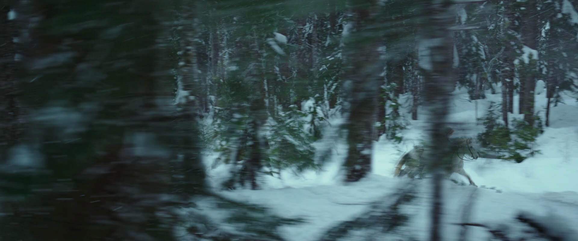 War for the Planet of the Apes (2017) movie still 5038