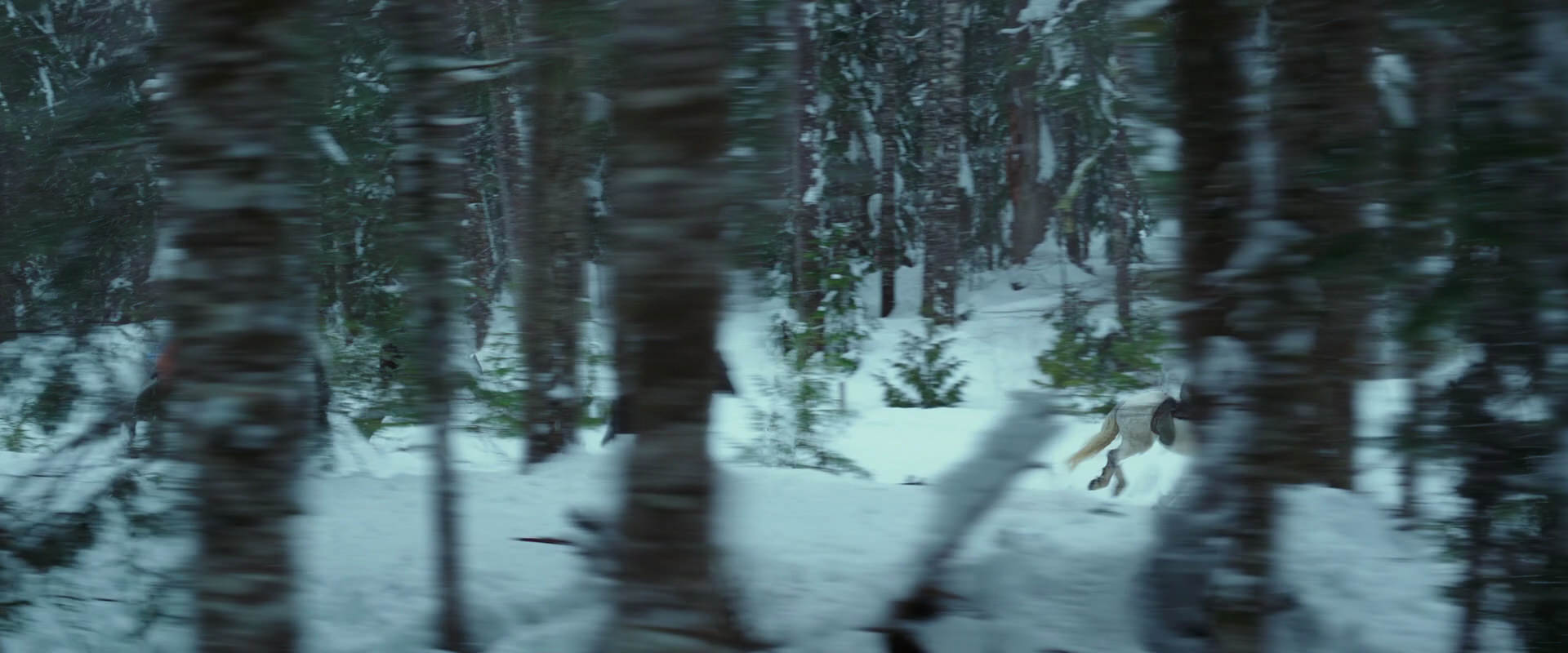 War for the Planet of the Apes (2017) HD screenshot 5039