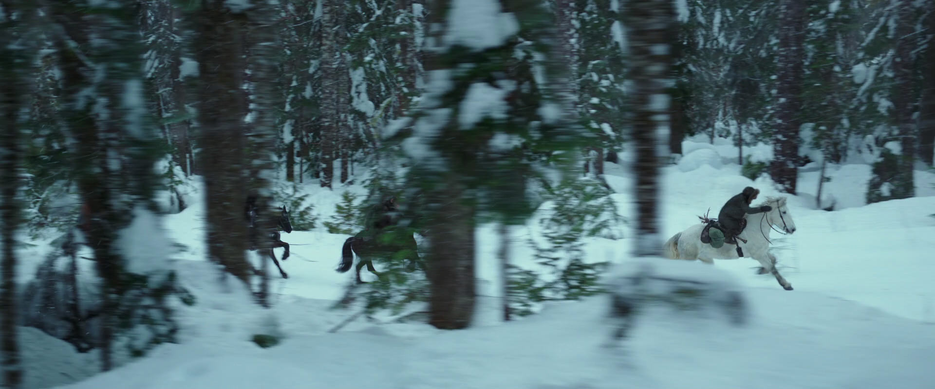 War for the Planet of the Apes (2017) movie still 5041