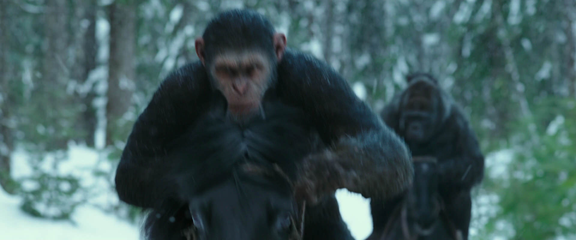 War for the Planet of the Apes (2017) HD screenshot 5042