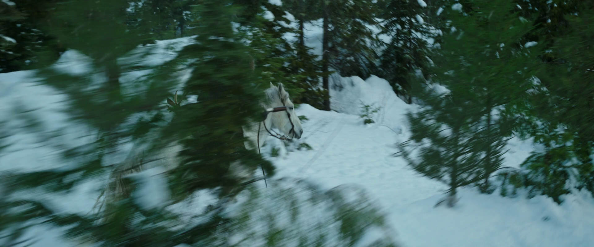 War for the Planet of the Apes (2017) movie still 5050