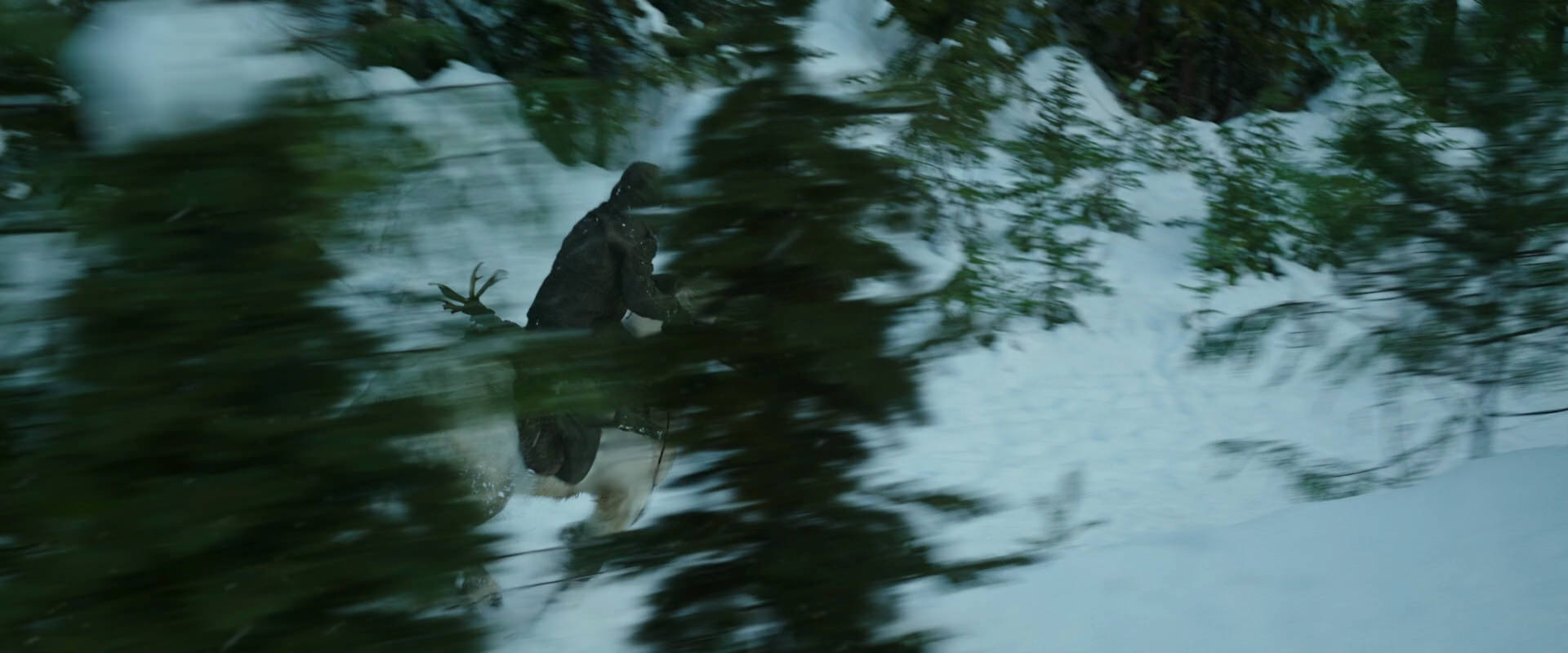 War for the Planet of the Apes (2017) screencap 5052