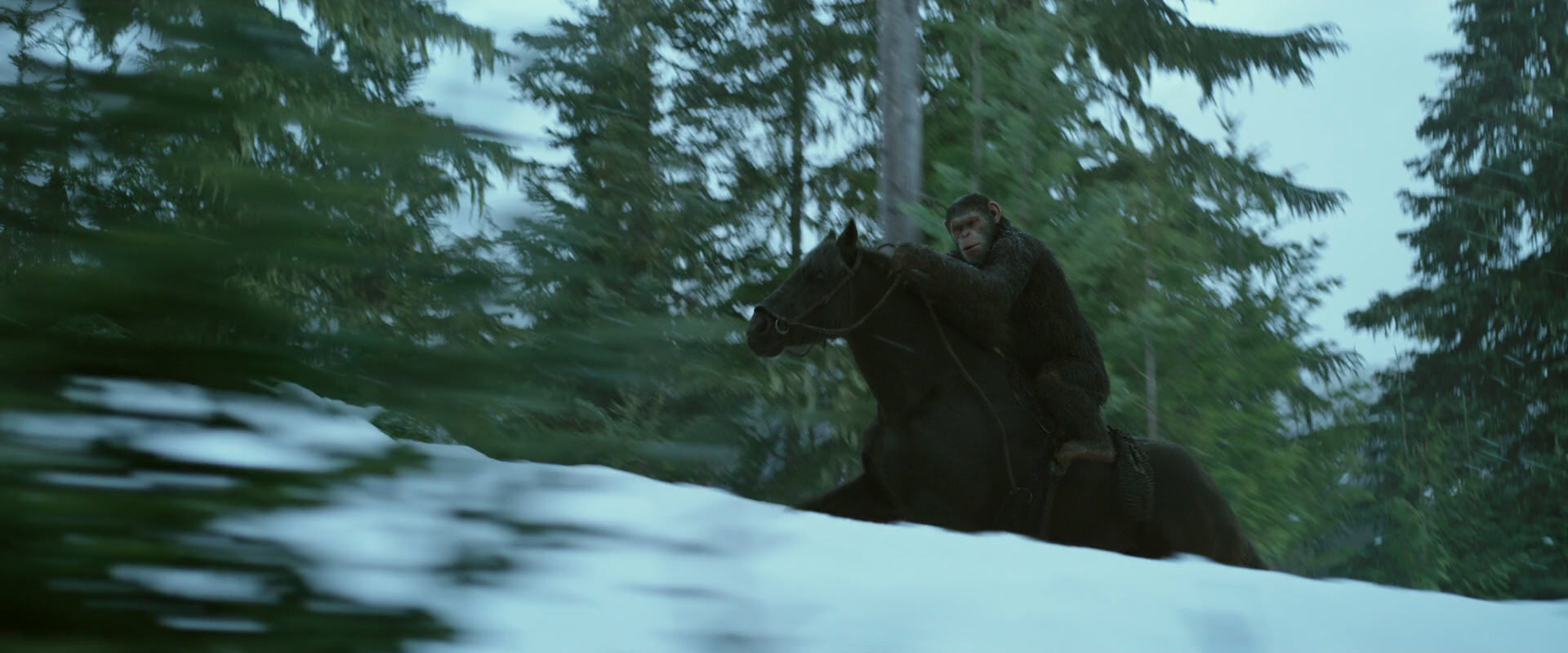 War for the Planet of the Apes (2017) screencap 5055