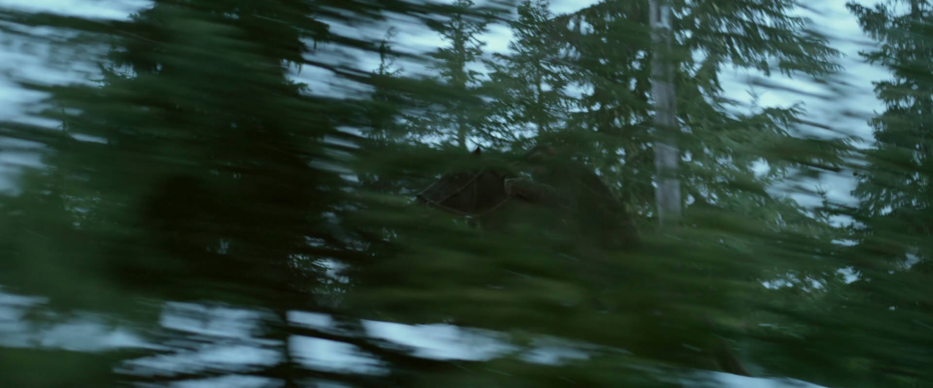 War for the Planet of the Apes (2017) movie still 5056