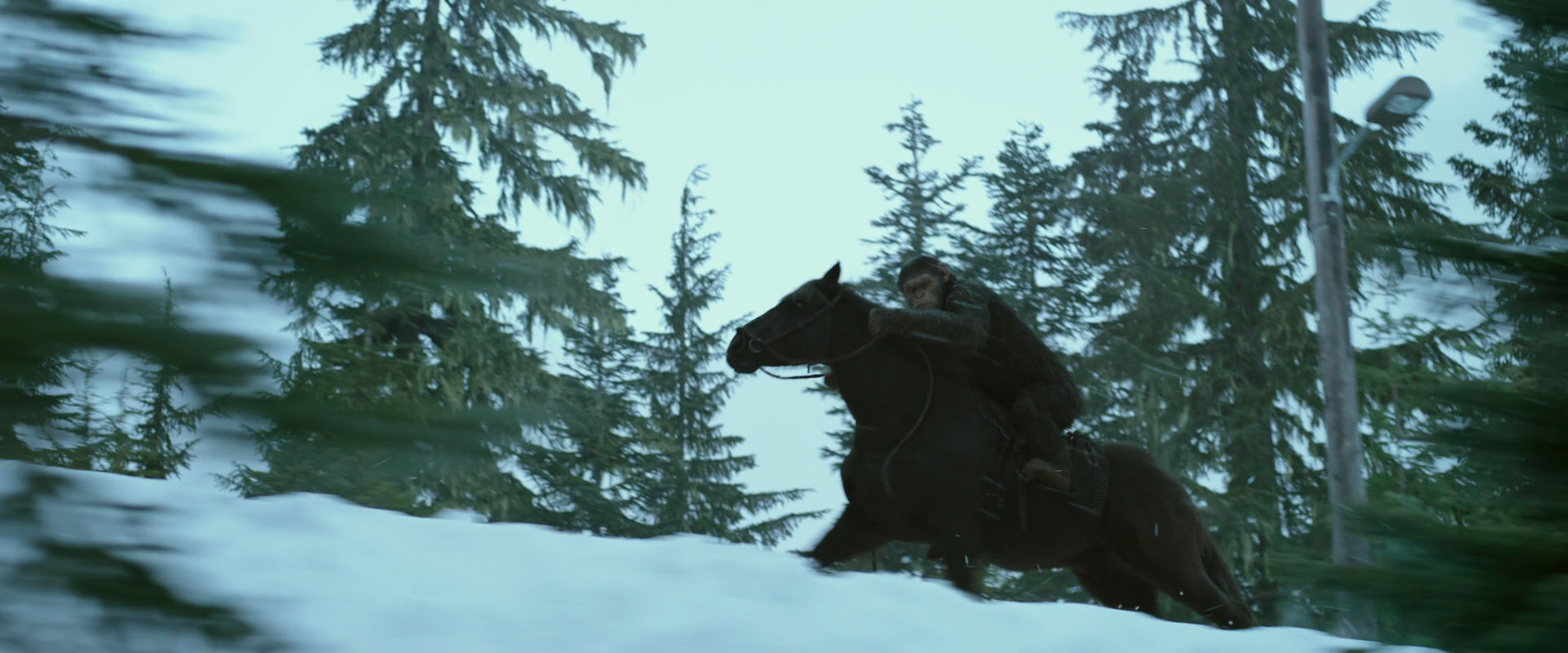 War for the Planet of the Apes (2017) HD screenshot 5057