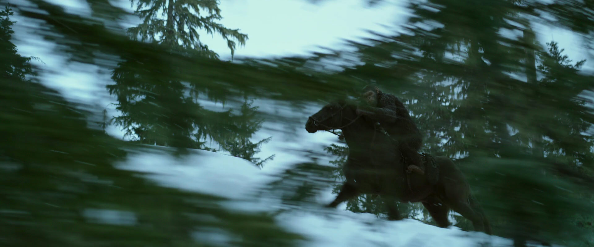 War for the Planet of the Apes (2017) screencap 5058