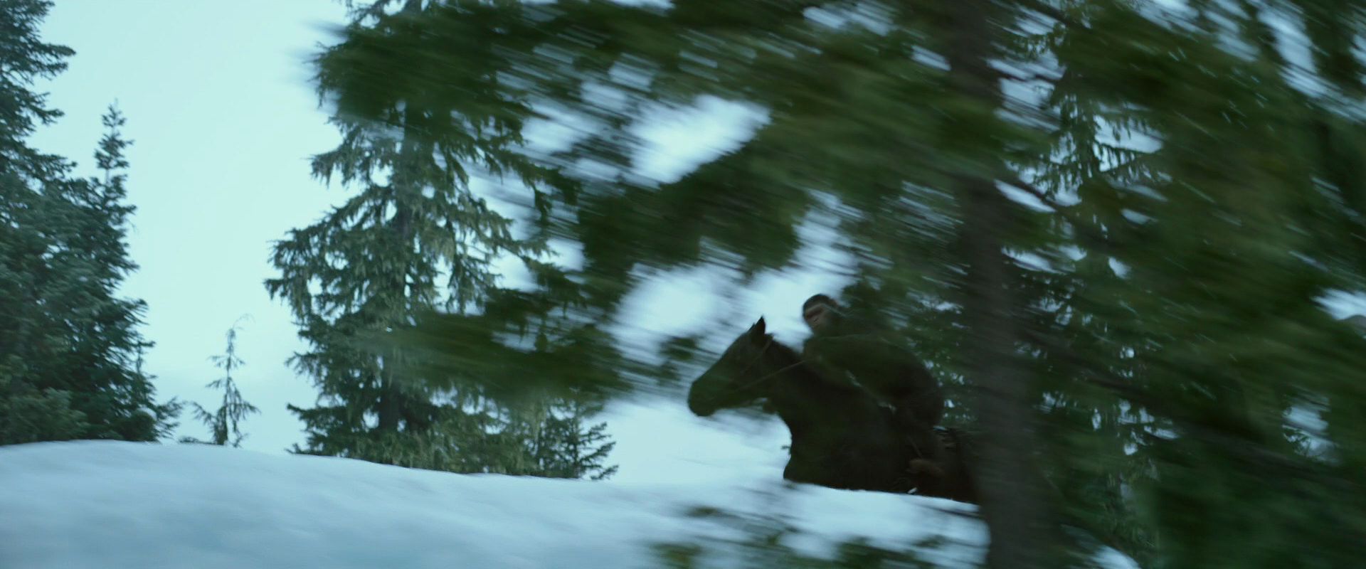 War for the Planet of the Apes (2017) movie still 5059