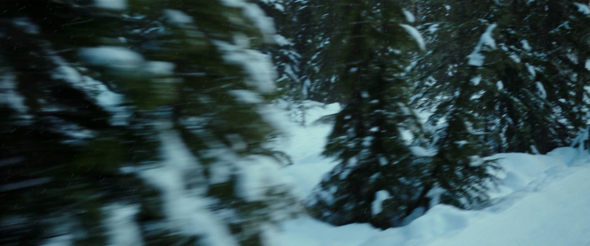 War for the Planet of the Apes (2017) HD screenshot 5060