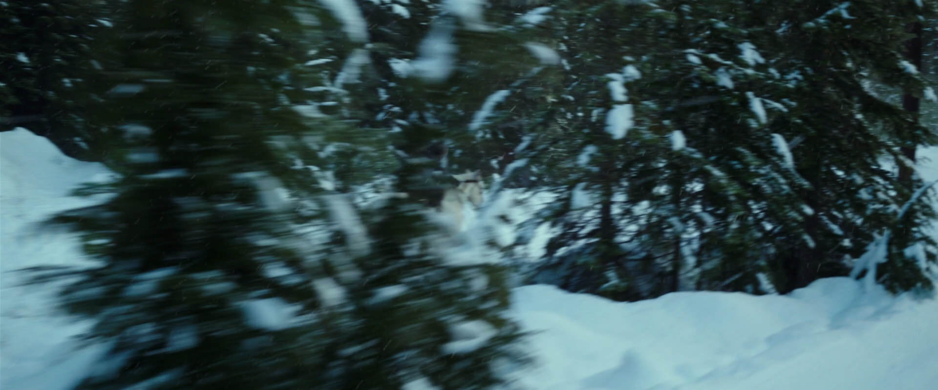 War for the Planet of the Apes (2017) screencap 5061