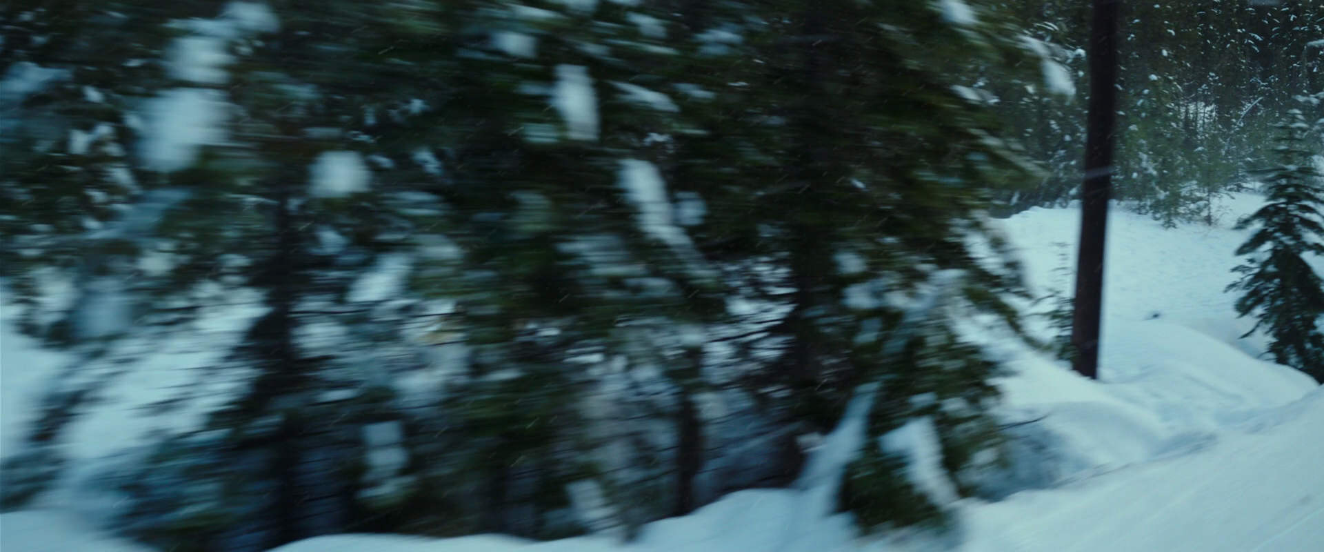 War for the Planet of the Apes (2017) movie still 5062