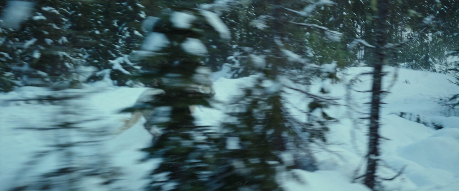 War for the Planet of the Apes (2017) movie still 5065