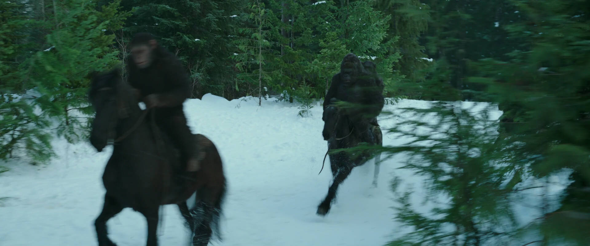 War for the Planet of the Apes (2017) HD screenshot 5069