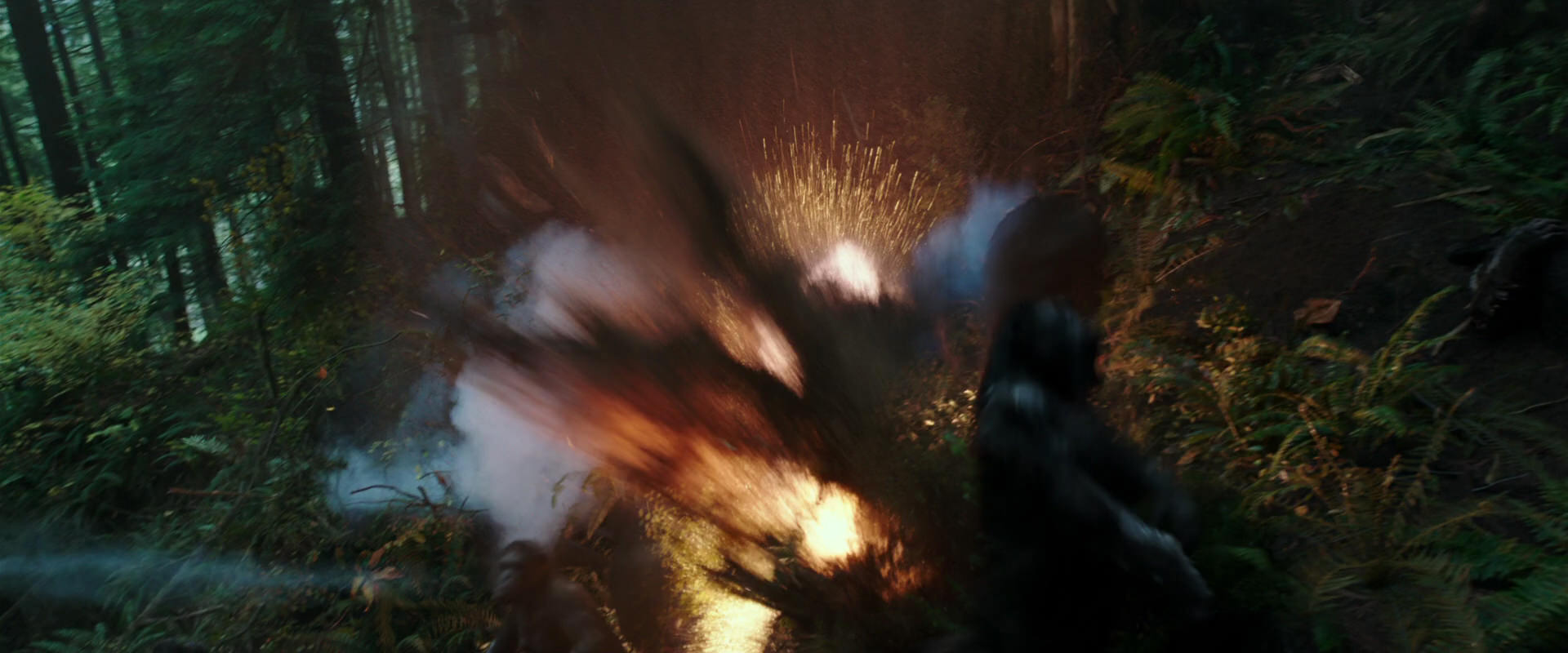 War for the Planet of the Apes (2017) screencap 507