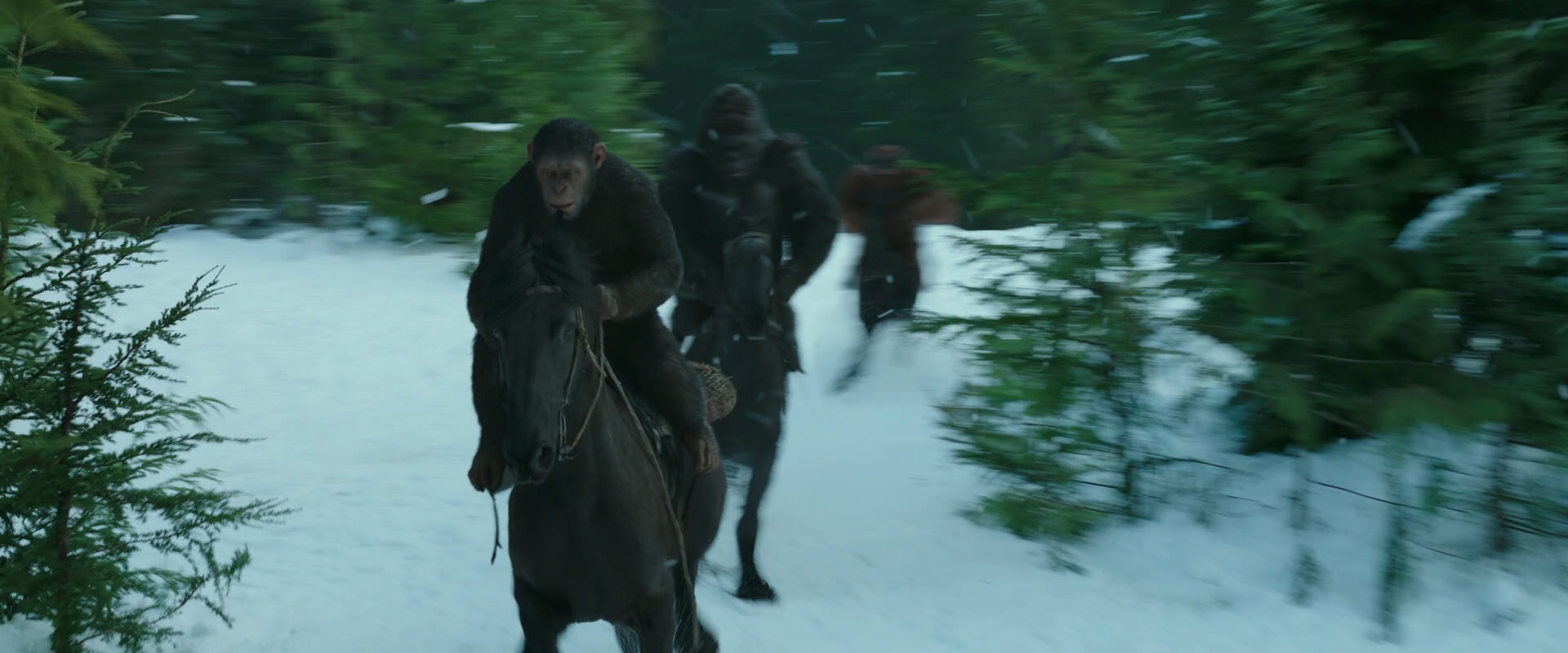 War for the Planet of the Apes (2017) screencap 5070