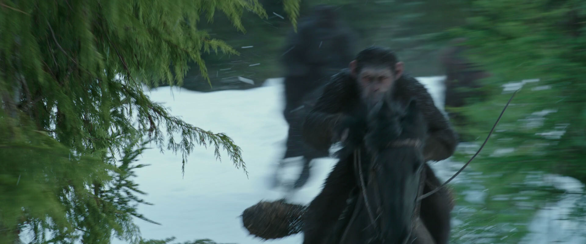 War for the Planet of the Apes (2017) screencap 5073