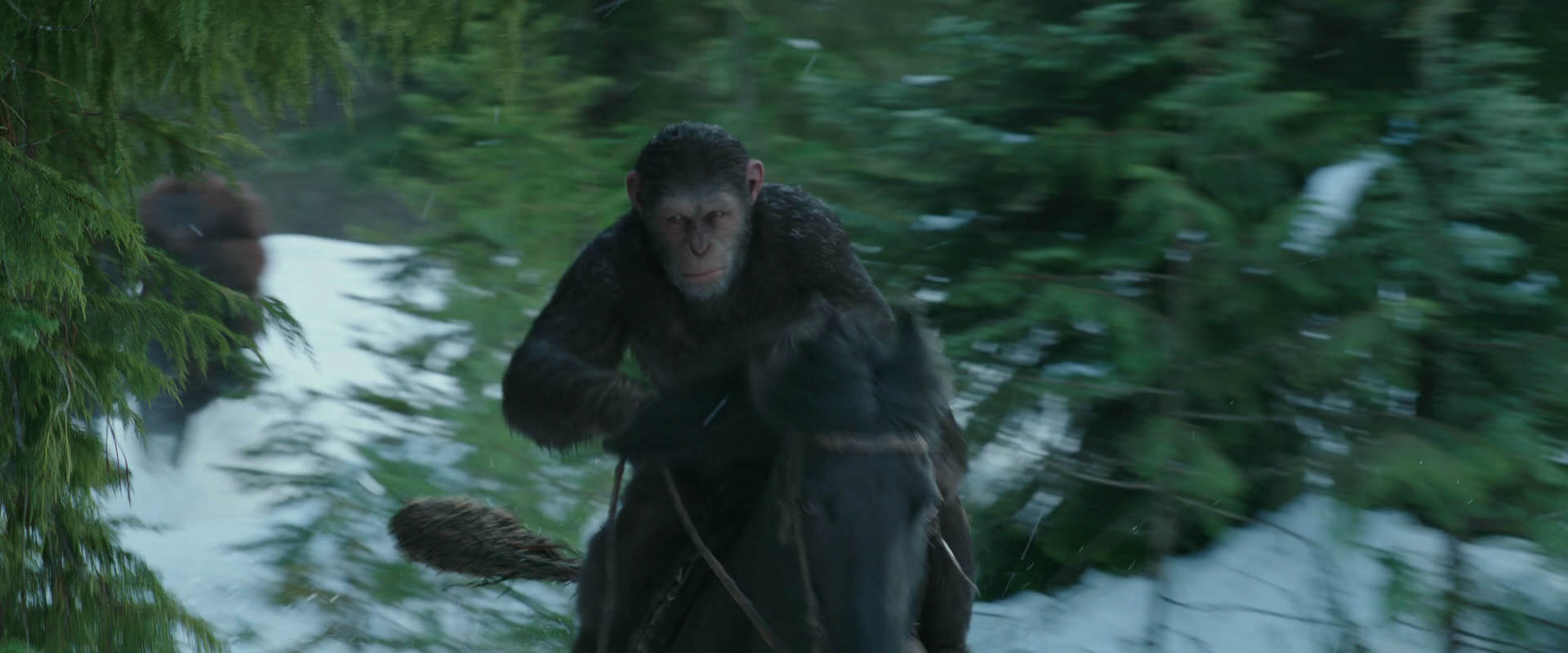 War for the Planet of the Apes (2017) movie still 5074