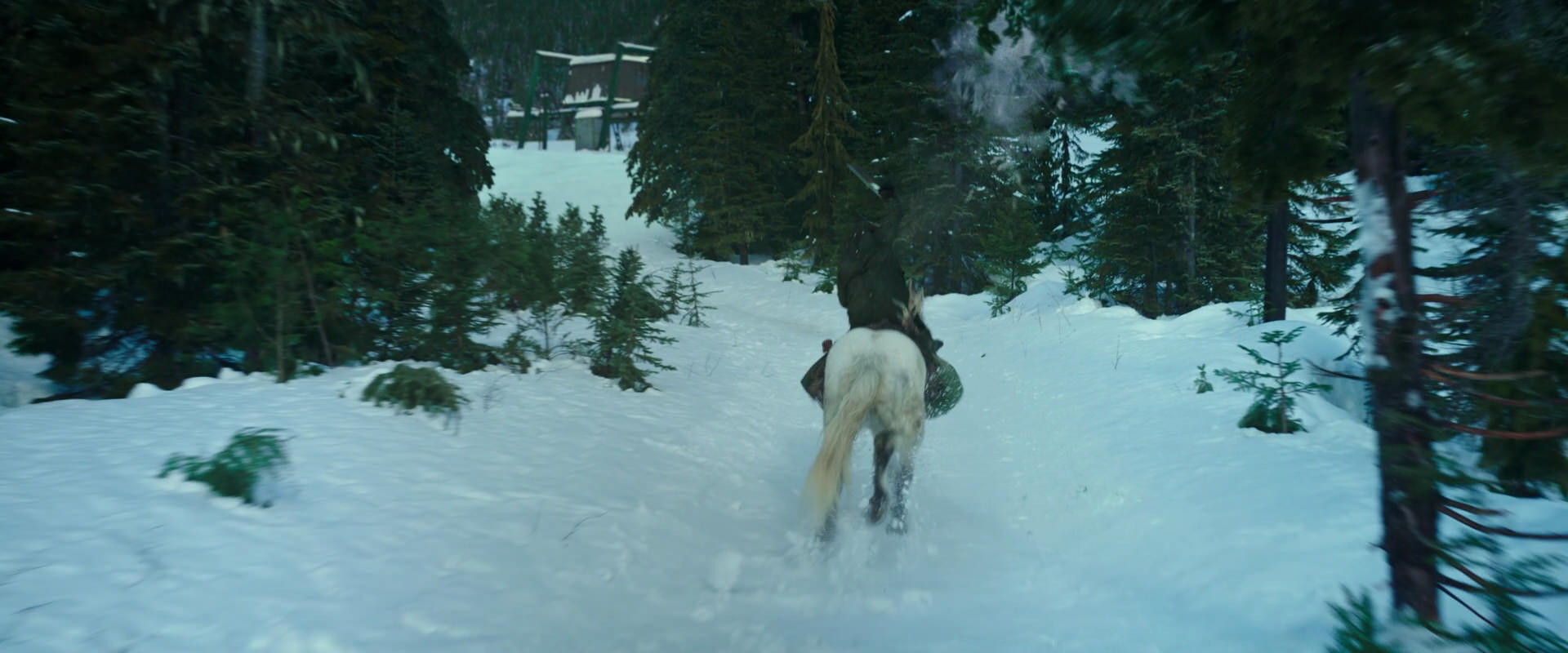 War for the Planet of the Apes (2017) screencap 5076