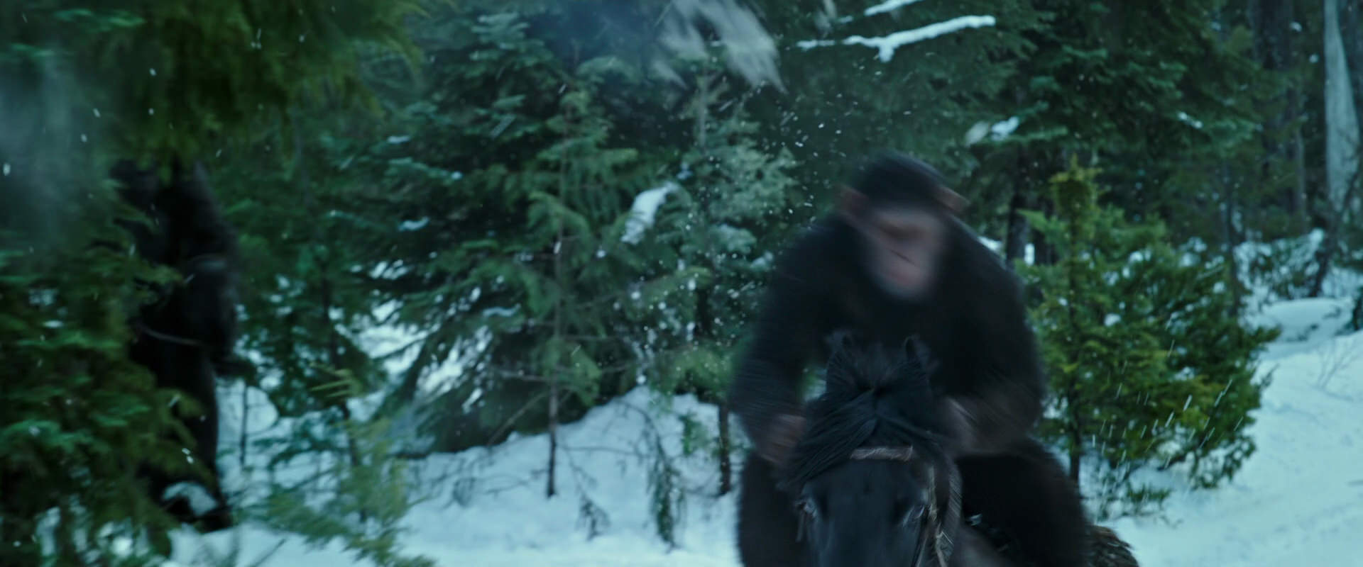 War for the Planet of the Apes (2017) movie still 5077
