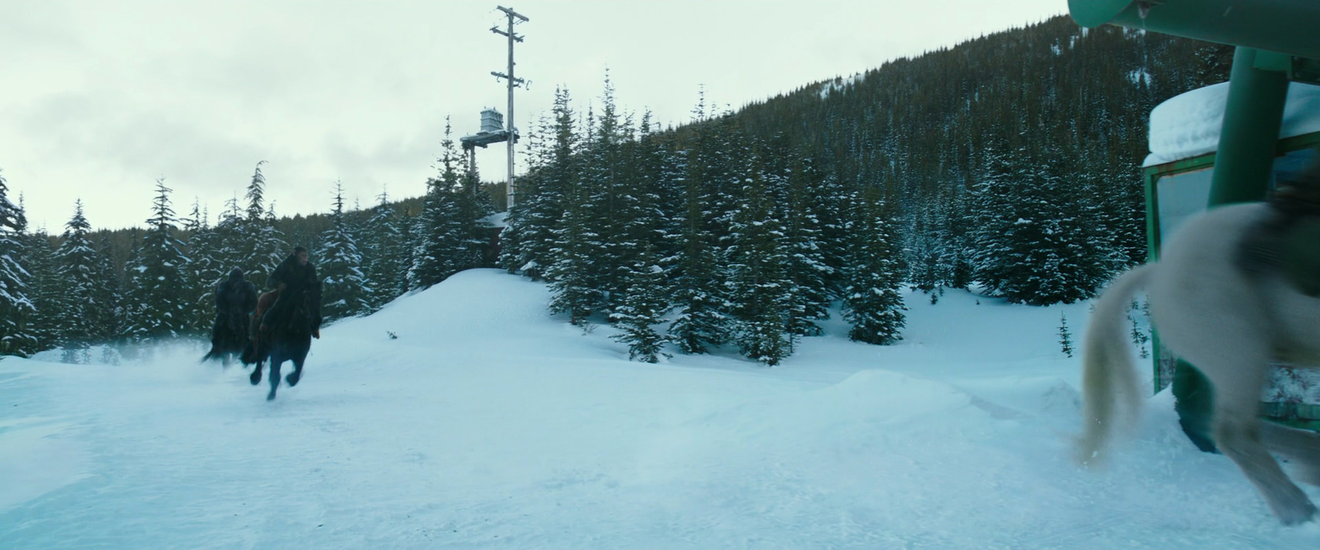 War for the Planet of the Apes (2017) screencap 5085
