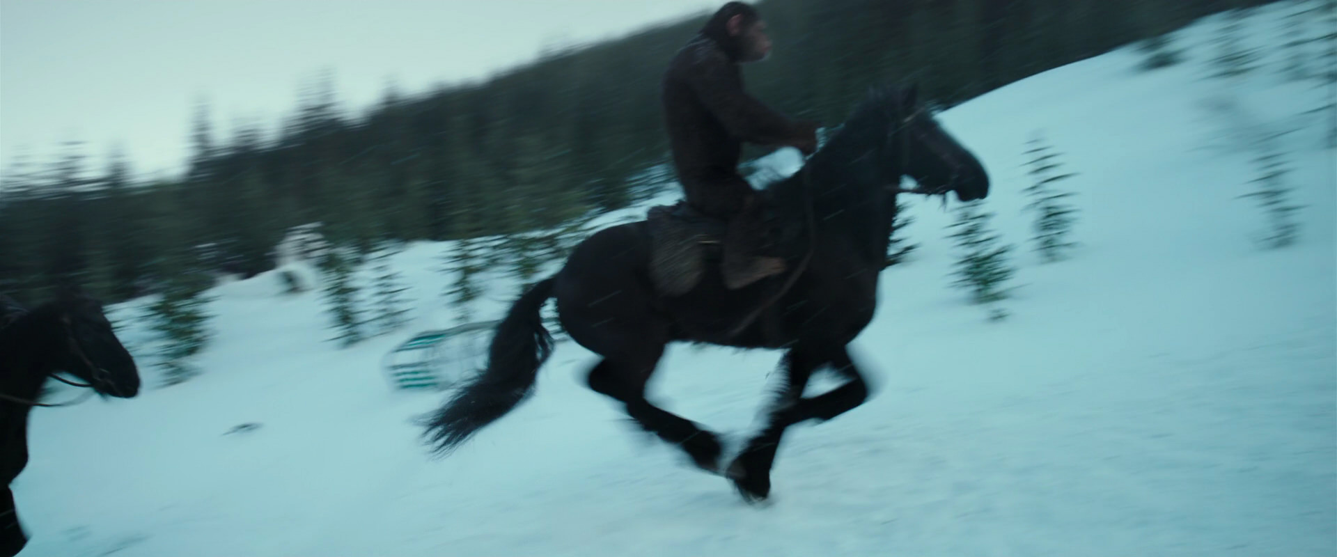 War for the Planet of the Apes (2017) screencap 5112