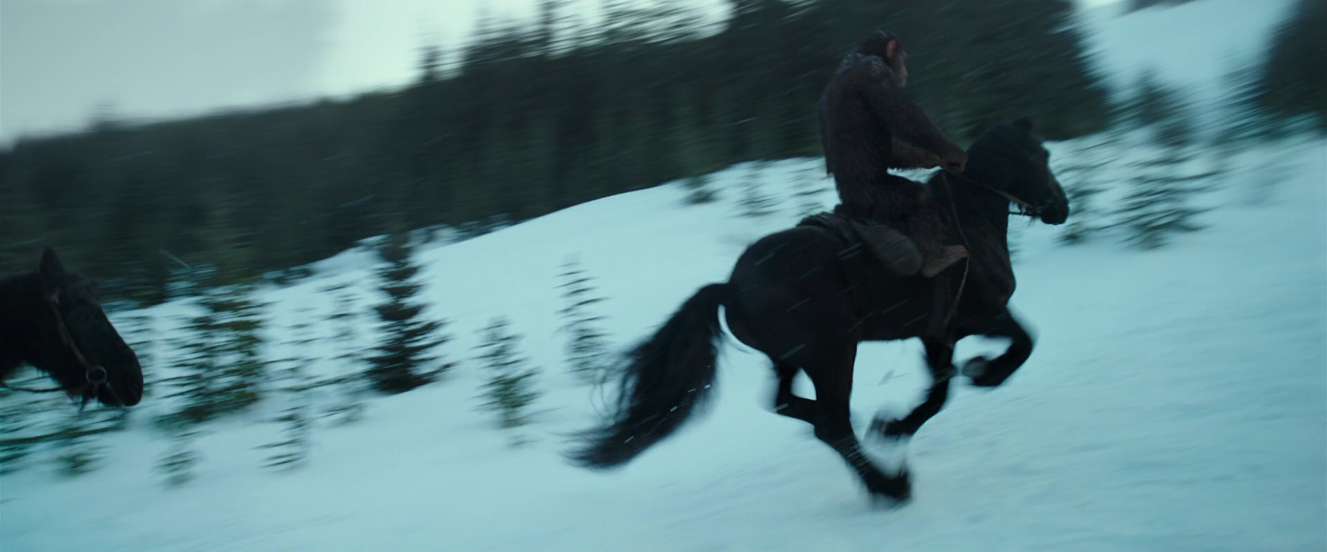 War for the Planet of the Apes (2017) movie still 5113
