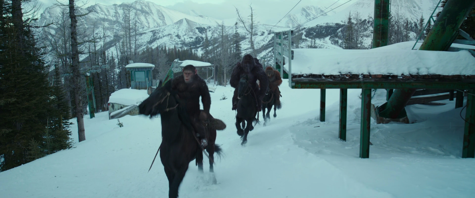 War for the Planet of the Apes (2017) movie still 5131
