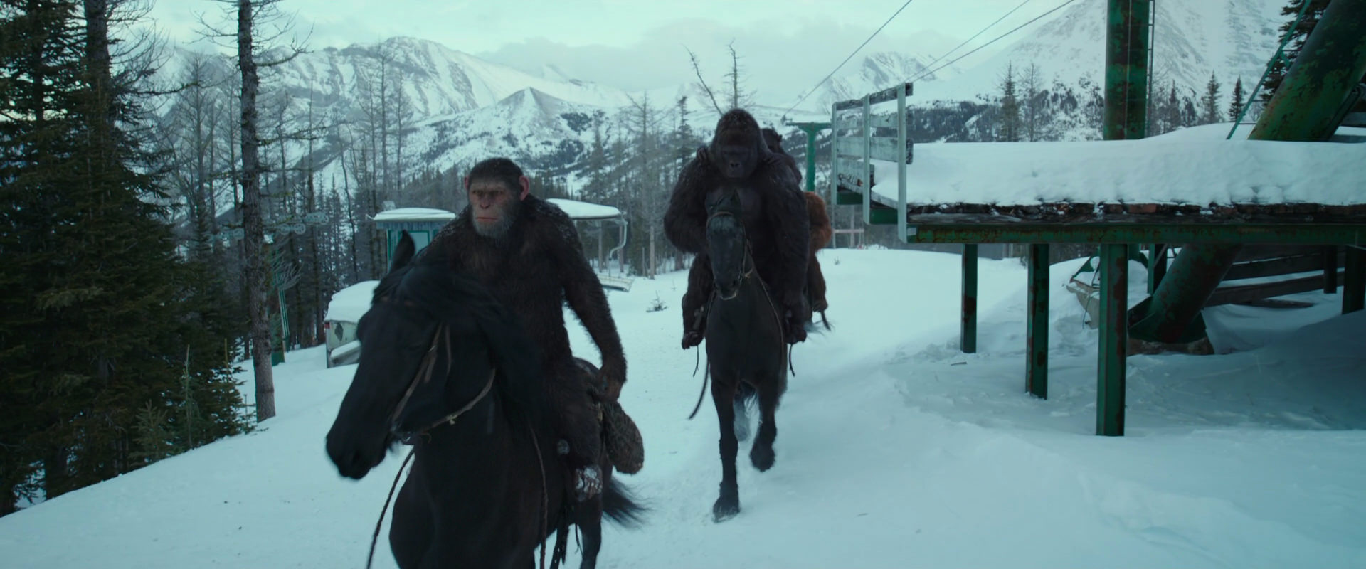War for the Planet of the Apes (2017) screencap 5133