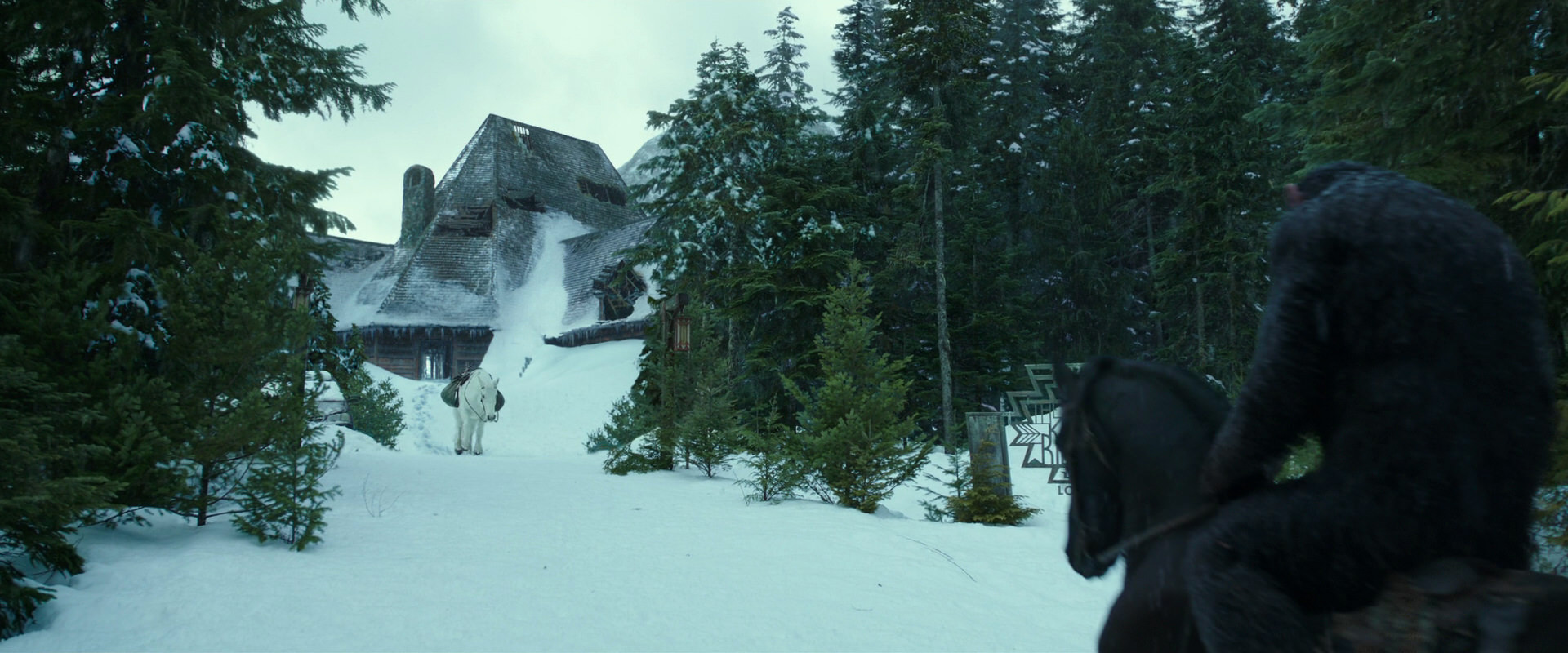 War for the Planet of the Apes (2017) HD screenshot 5135