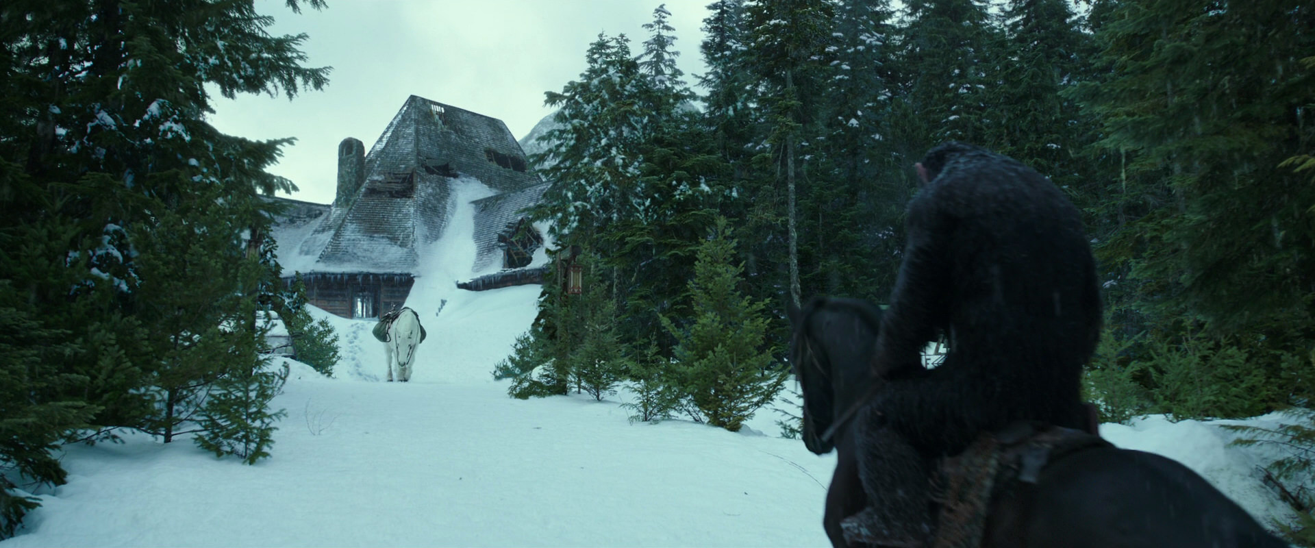 War for the Planet of the Apes (2017) screencap 5136