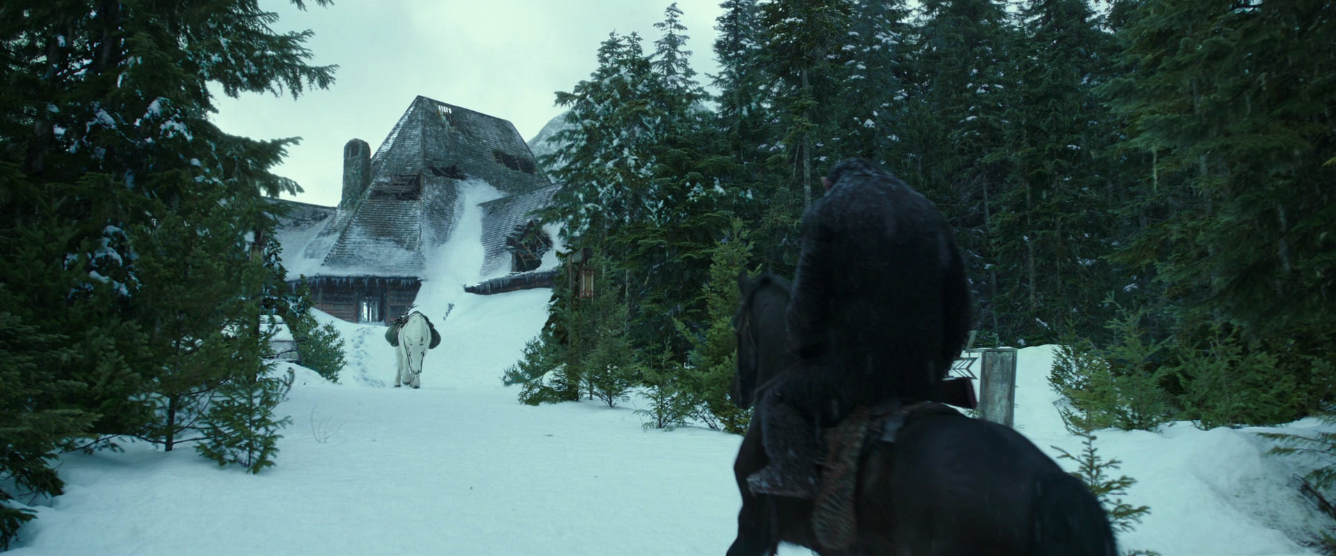 War for the Planet of the Apes (2017) movie still 5137
