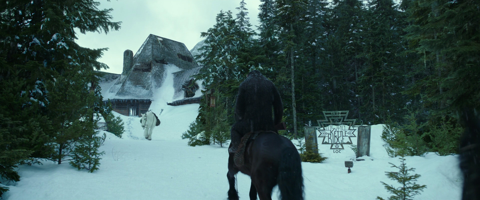 War for the Planet of the Apes (2017) screencap 5139