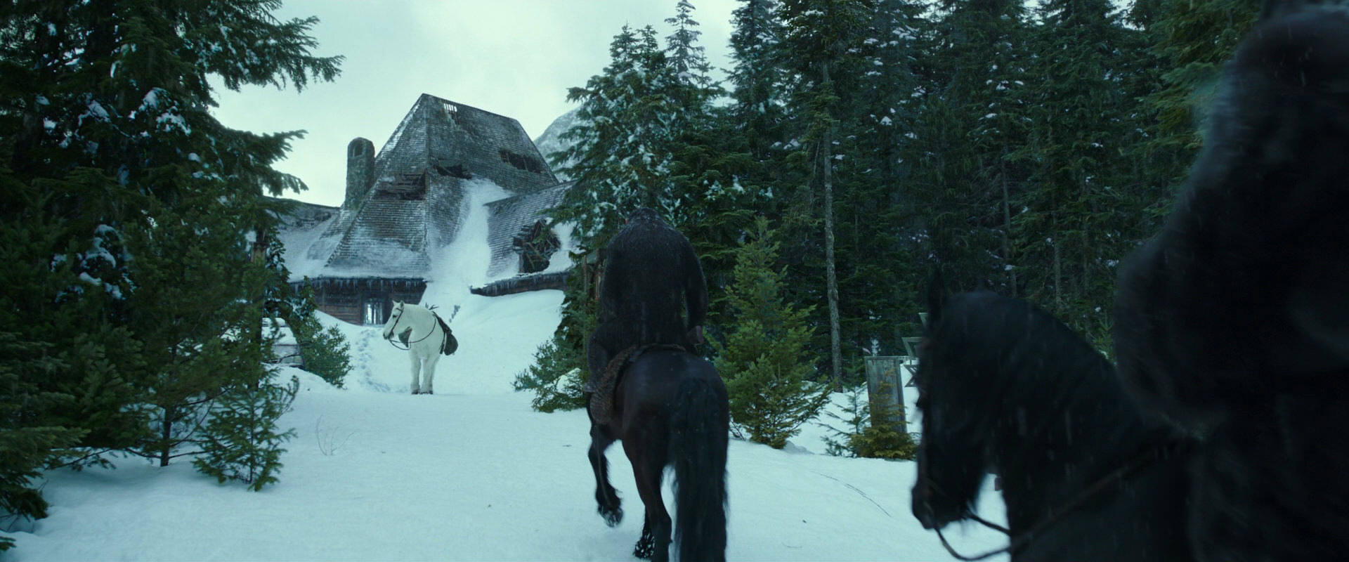 War for the Planet of the Apes (2017) HD screenshot 5141