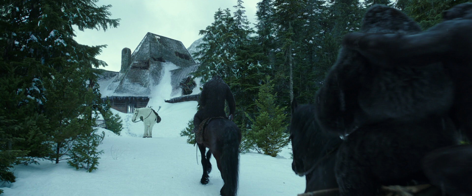 War for the Planet of the Apes (2017) screencap 5142
