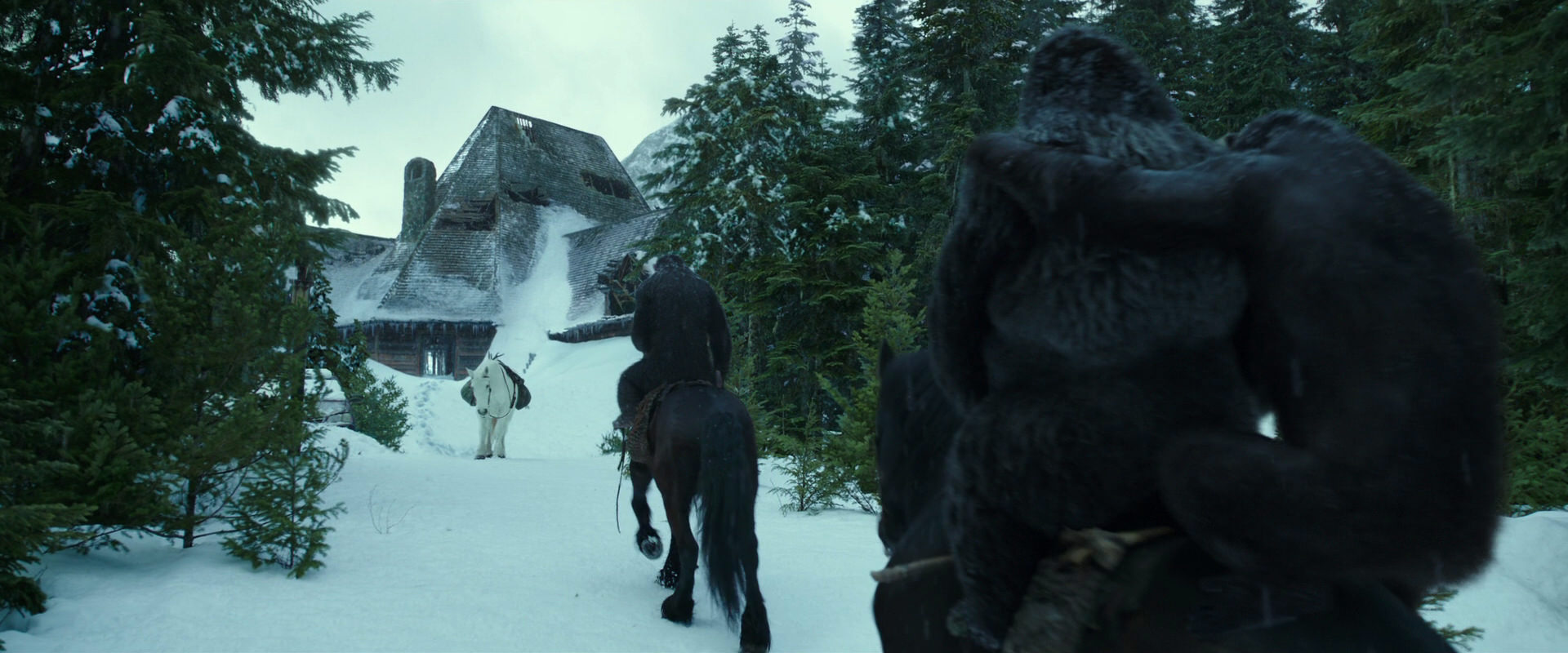 War for the Planet of the Apes (2017) movie still 5143