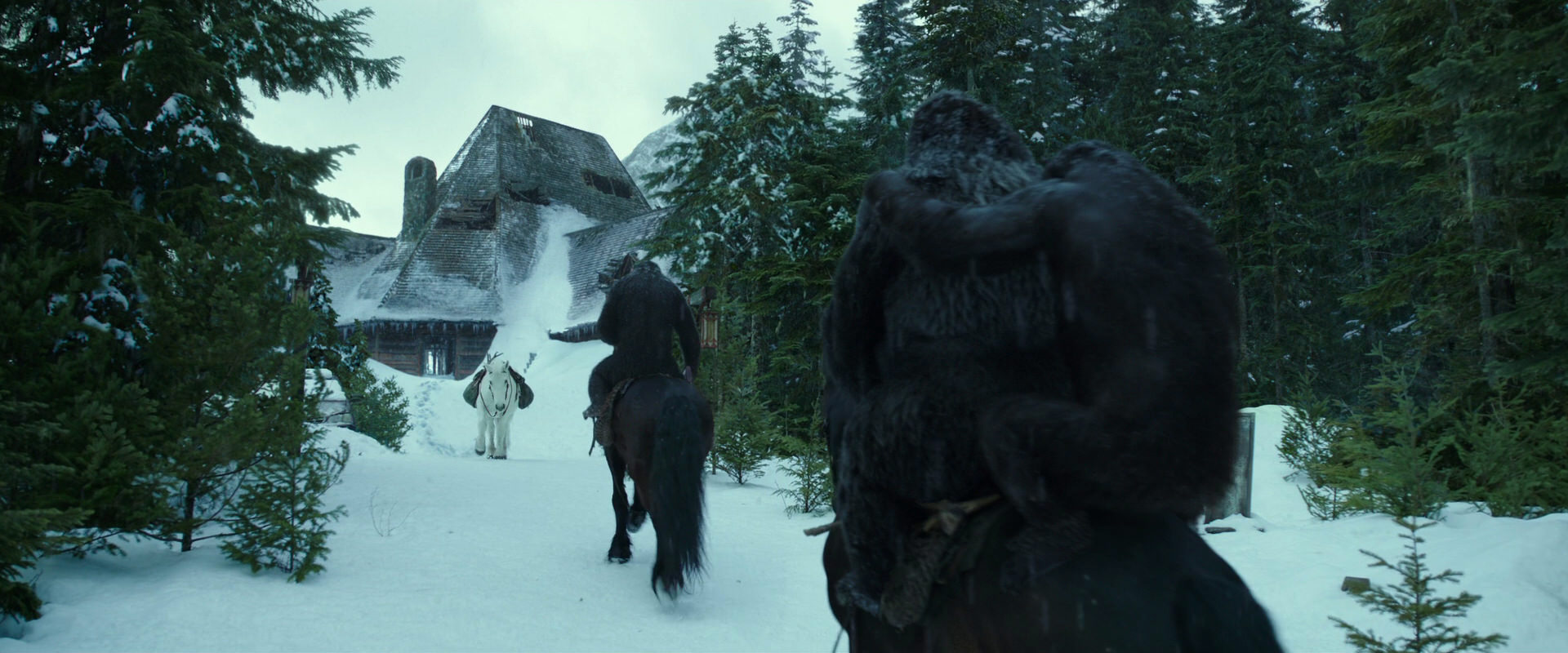 War for the Planet of the Apes (2017) HD screenshot 5144