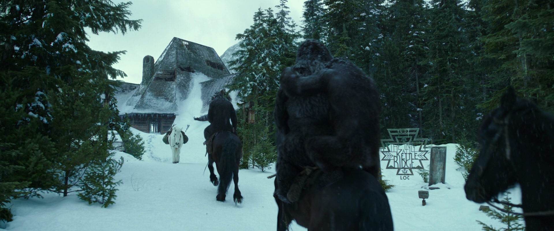 War for the Planet of the Apes (2017) screencap 5145